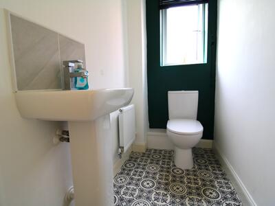 Picture 5